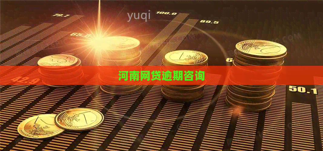 河南网贷逾期咨询
