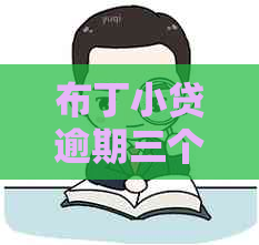 布丁小贷逾期三个月
