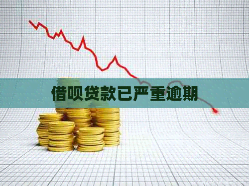 信用卡贷款已严重逾期
