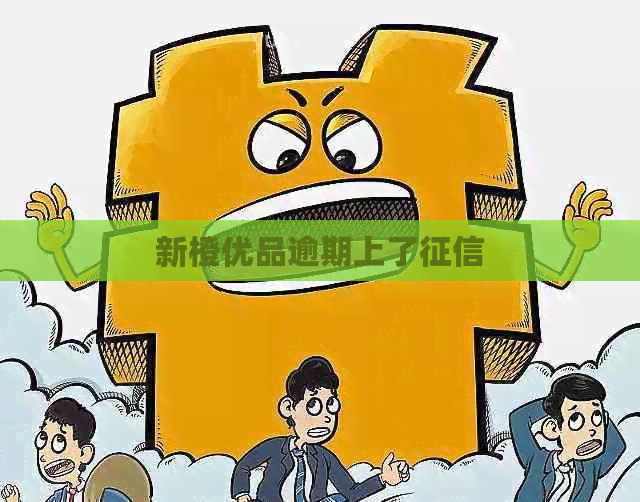 新橙优品逾期上了
