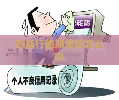 农商行逾期贷款怎么办