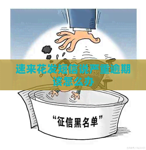 速来花发短信说严重逾期该怎么办