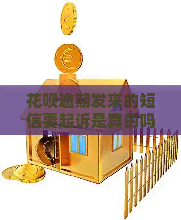 白条逾期发来的短信要起诉是真的吗