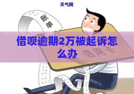 信用卡逾期2万被起诉怎么办