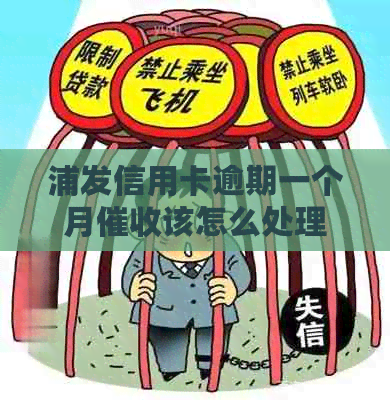 浦发信用卡逾期一个月该怎么处理
