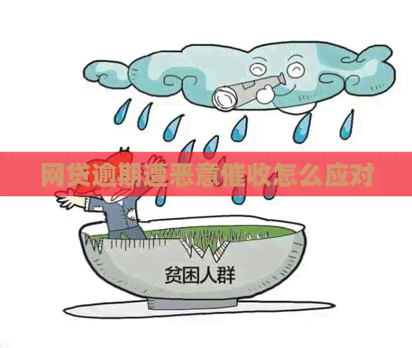 网贷逾期遭恶意怎么应对