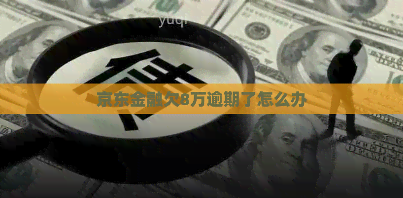 京东金融欠8万逾期了怎么办