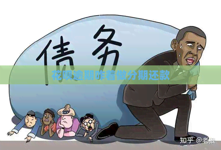 白条逾期咋着做分期还款