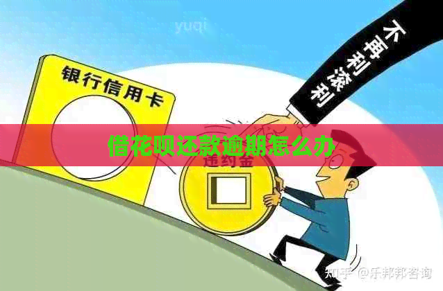 借白条还款逾期怎么办