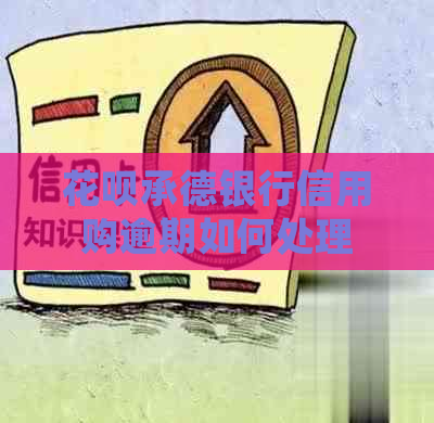 白条承德银行信用购逾期如何处理