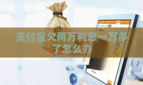 信用卡欠两万利息一万多了怎么办
