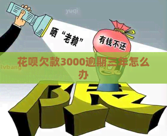 白条欠款3000逾期三年怎么办