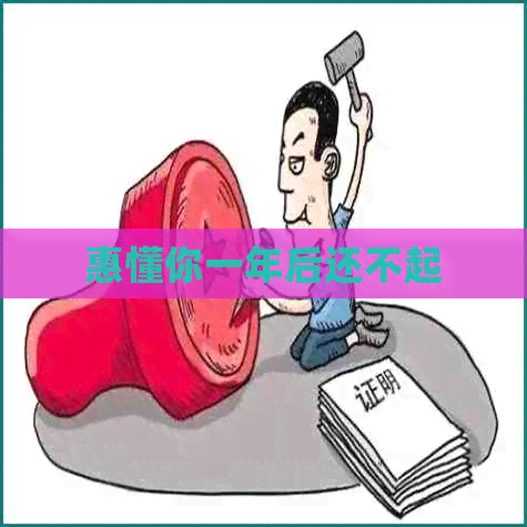 惠懂你一年后还不起