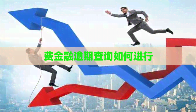 费金融逾期查询如何进行