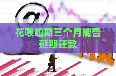 白条逾期三个月能否延期还款