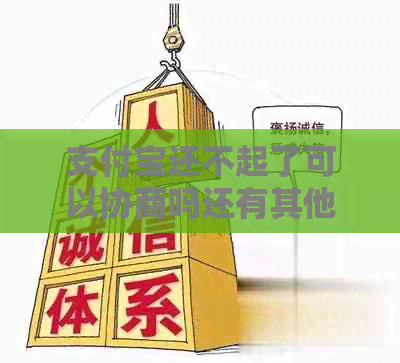 信用卡还不起了可以协商吗还有其他解决办法吗