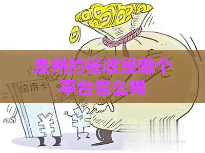 泉州的是哪个平台怎么样