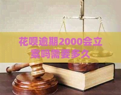 白条逾期2000会立案吗需要多久