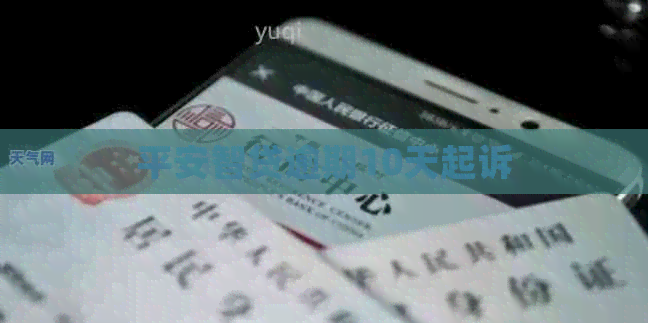 平安智贷逾期10天起诉