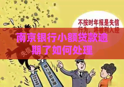 南京银行小额贷款逾期了如何处理
