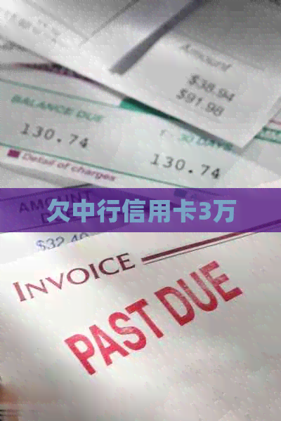 欠中行信用卡3万