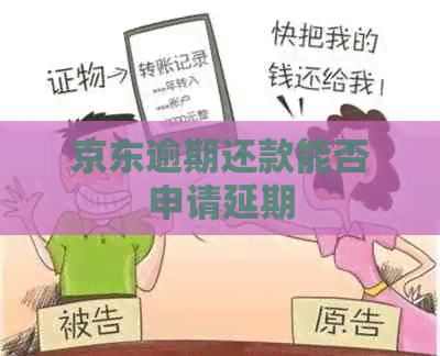 京东逾期还款能否申请延期