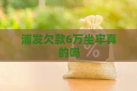 浦发欠款6万坐牢真的吗