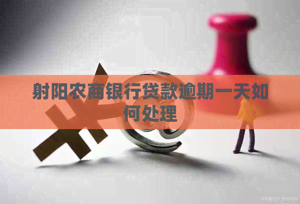 射阳农商银行贷款逾期一天如何处理