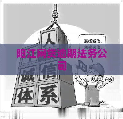 阳江网贷逾期法务公司