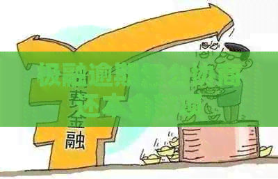 极融逾期怎么协商还本金款项