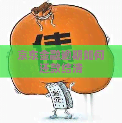 京东金融逾期如何还款结清