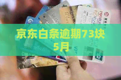 京东白条逾期73块5月