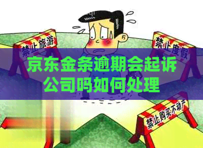 京东金条逾期会起诉公司吗如何处理