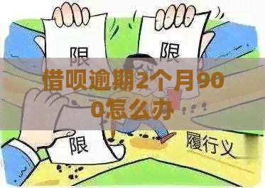 信用卡逾期2个月900怎么办