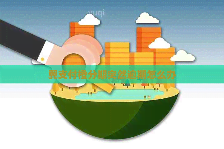 翼支付橙分期突然逾期怎么办