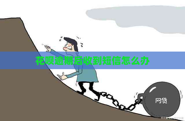 白条逾期后收到短信怎么办