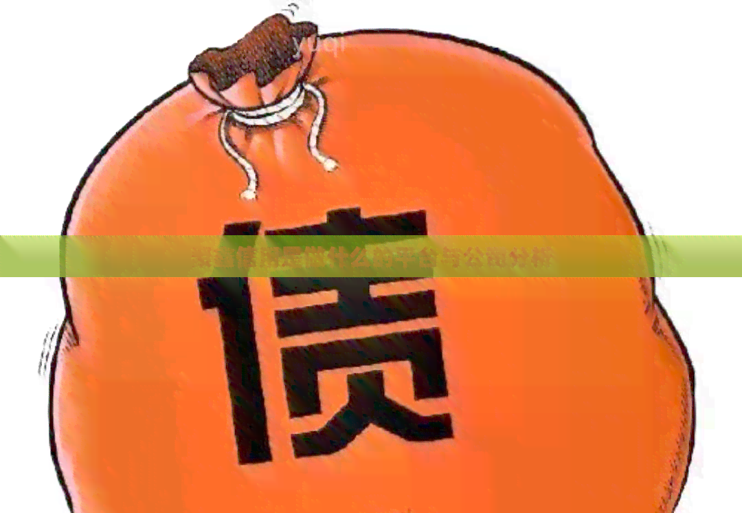 聚鑫信用是做什么的平台与公司分析
