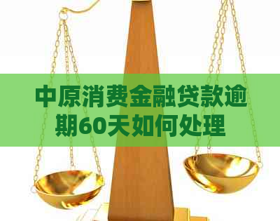 中原消费金融贷款逾期60天如何处理