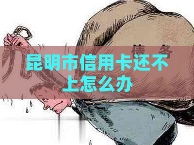 昆明市信用卡还不上怎么办