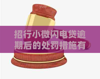 招行小微闪电贷逾期后的处罚措施有哪些