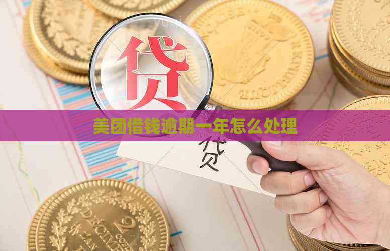 美团借钱逾期一年怎么处理