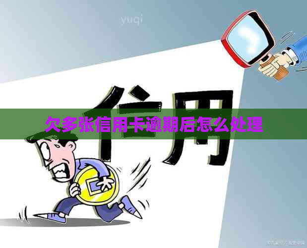 欠多张信用卡逾期后怎么处理
