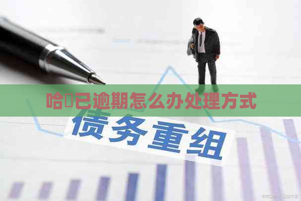 哈啰已逾期怎么办处理方式