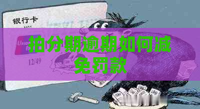 拍分期逾期如何减免罚款