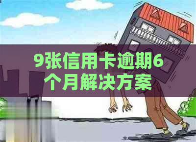 9张信用卡逾期6个月解决方案
