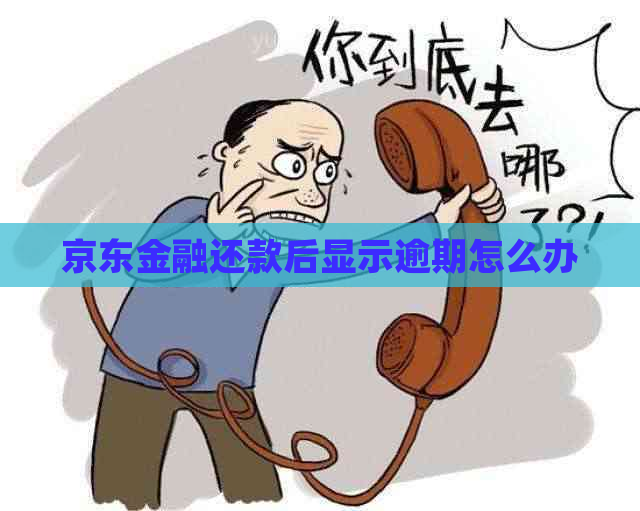 京东金融还款后显示逾期怎么办