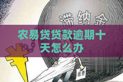 农易贷贷款逾期十天怎么办