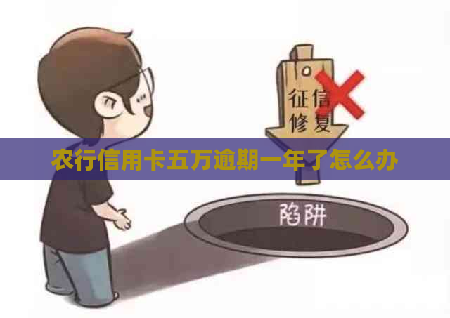 农行信用卡五万逾期一年了怎么办
