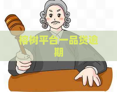 榕树平台一品贷逾期