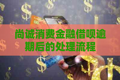 尚诚消费金融借呗逾期后的处理流程